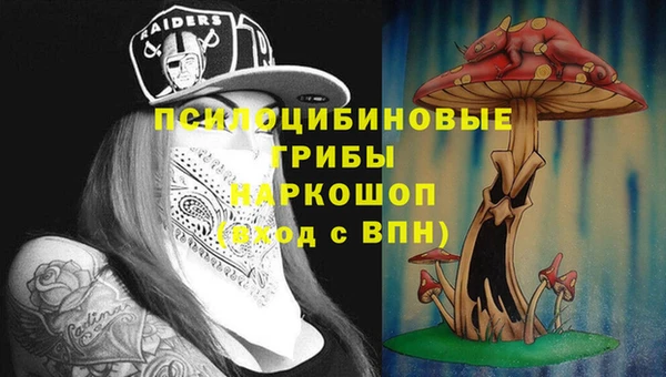 соль курить ск Арсеньев