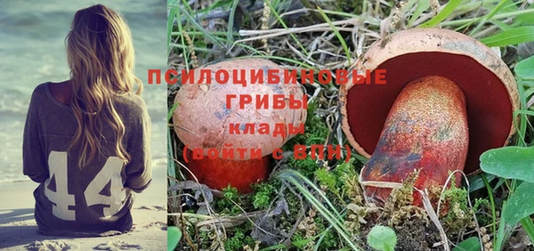 метадон Аркадак