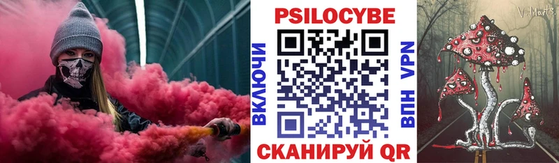 нарко площадка Telegram  закладки  Коряжма  Псилоцибиновые грибы Psilocybine cubensis 