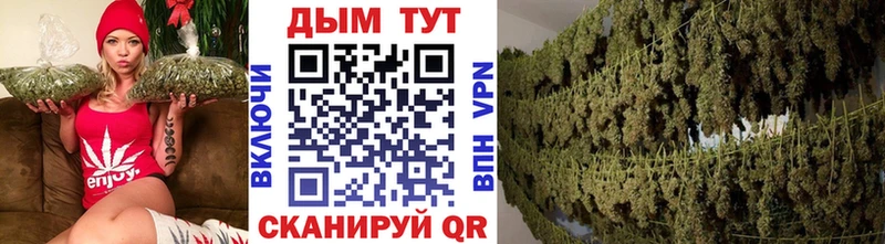 цены   Коряжма  Бошки Шишки сатива 
